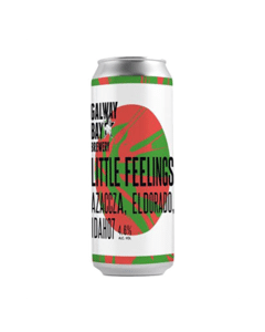Galway Bay Brewery Little Feelings product photo
